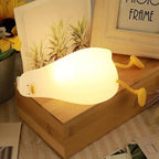 Cute Duck Lamp