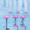 Solar Flamingo
