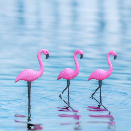 Solar Flamingo