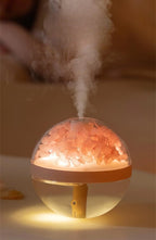 Eternal Flower Humidifier