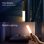 Smart LED Wall Light